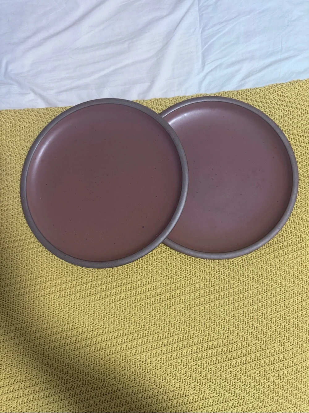 East Fork Amaro Stoneware Dinner Plates- Set of 2